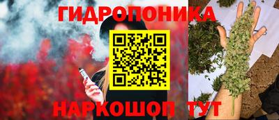ALPHA PVP Кинель