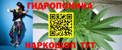 2c-b Кимры