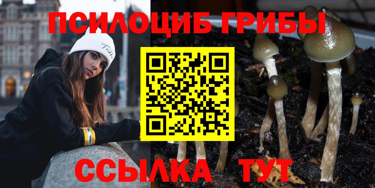 Кировск  Псилоцибиновые грибы MAGIC MUSHROOMS  наркота  Вход с VPN  Псилоцибиновые грибы MAGIC MUSHROOMS 